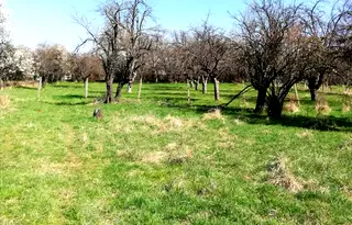 Парцел в Перник, с. Кондофрей