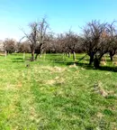 Парцел в Перник, с. Кондофрей