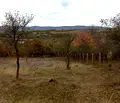 Снимка 2 — Парцел в Перник, с. Косача
