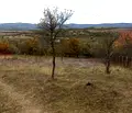 Снимка 4 — Парцел в Перник, с. Косача