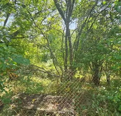 Photo 2 — Plot in Oblast Pernik, Kovachevci