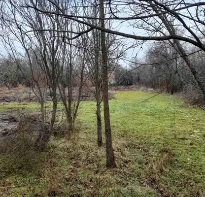 Photo 3 — Plot in Oblast Pernik, Negovanci