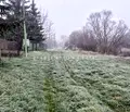 Снимка 2 — Парцел в Перник, с. Негованци