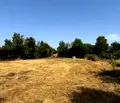 Снимка 3 — Парцел в Перник, с. Негованци