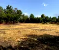 Снимка 4 — Парцел в Перник, с. Негованци