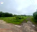 Снимка 4 — Парцел в Перник, с. Негованци