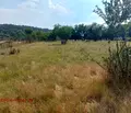 Снимка 2 — Парцел в Перник, с. Непразненци