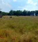 Парцел в Перник, с. Непразненци