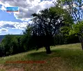Снимка 2 — Парцел в Перник, с. Прибой
