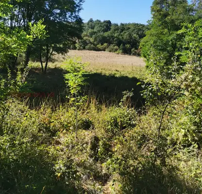 Photo 2 — Plot in Oblast Pernik, Radibosh