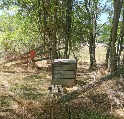 Photo 3 — Plot in Oblast Pernik, Radibosh