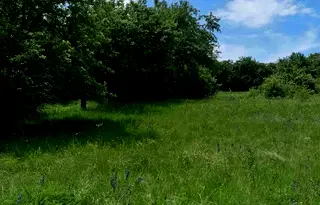 Парцел в Перник, с. Режанци