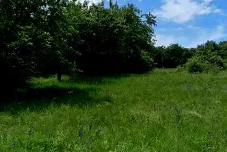 Парцел в Перник, с. Режанци