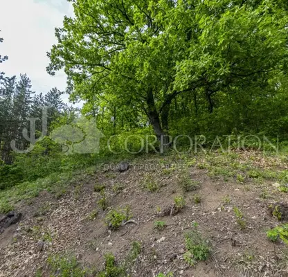 Photo 2 — Plot in Oblast Pernik, Rudarci