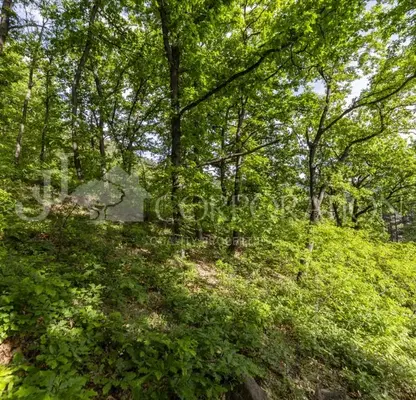 Photo 3 — Plot in Oblast Pernik, Rudarci