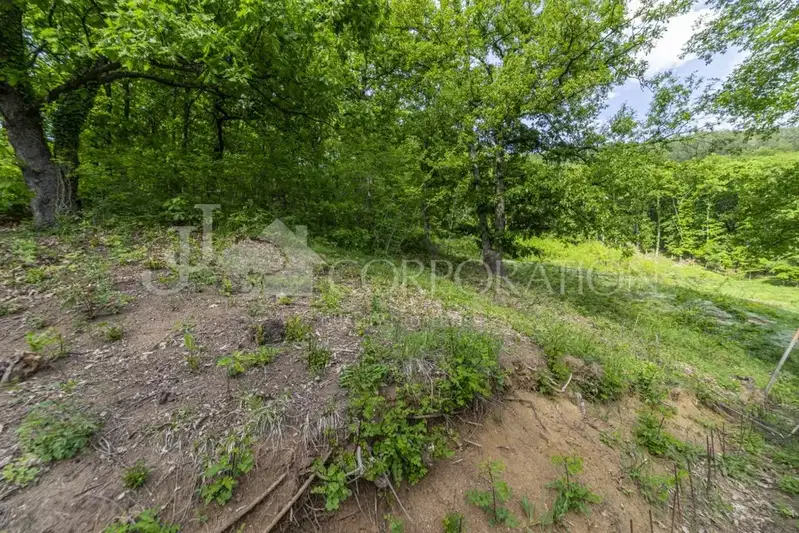 Plot in Oblast Pernik, Rudarci