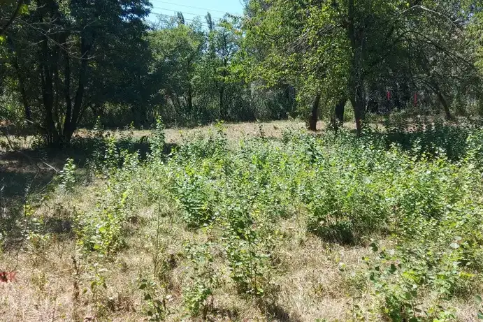 Парцел в Перник, с. Рударци