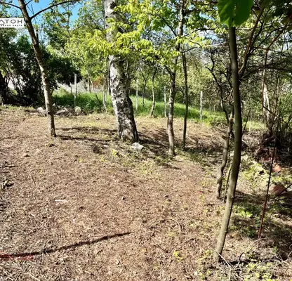 Photo 3 — Plot in Oblast Pernik, Rudarci