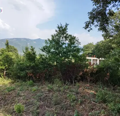 Photo 2 — Plot in Oblast Pernik, Rudarci