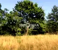 Снимка 5 — Парцел в Перник, с. Рударци