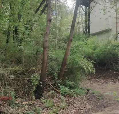 Photo 2 — Plot in Oblast Pernik, Rudarci