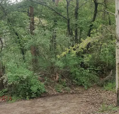 Photo 5 — Plot in Oblast Pernik, Rudarci
