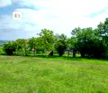Снимка 4 — Парцел в Перник, с. Селищен дол