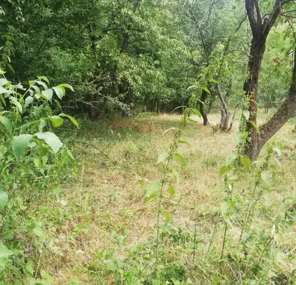 Photo 3 — Plot in Oblast Pernik, Studena