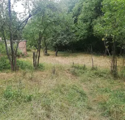 Photo 5 — Plot in Oblast Pernik, Studena