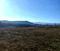 Снимка 3 — Парцел в Перник, с. Витановци