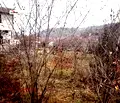 Снимка 5 — Парцел в Перник, с. Вукан