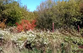 Парцел в Перник, с. Ярджиловци
