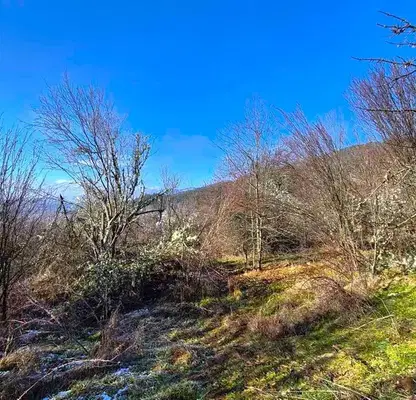 Photo 2 — Plot in Oblast Pernik, с. Зелени