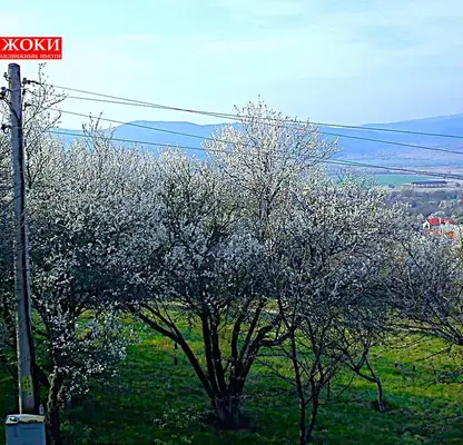 Photo 4 — Plot in Oblast Pernik, с. Зелени