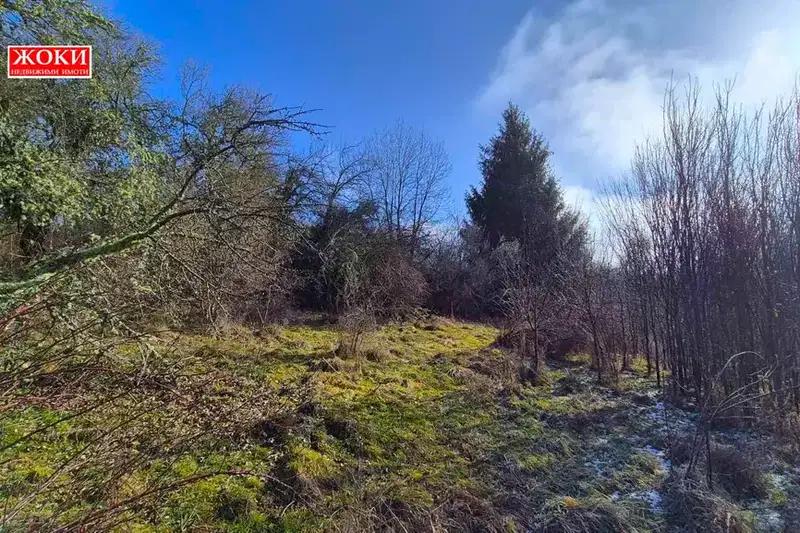 Plot in Oblast Pernik, с. Зелени
