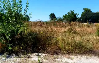 Парцел в Плевен, Тръстеник