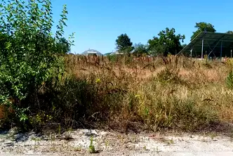 Парцел в Плевен, Тръстеник