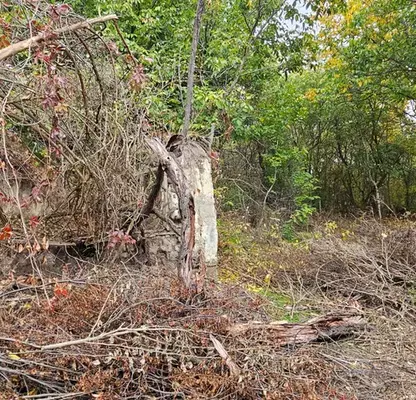 Photo 2 — Plot in Oblast Pleven, Asenovo