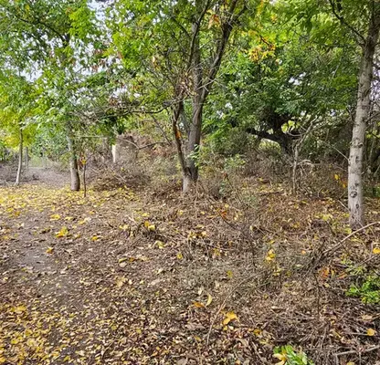 Photo 3 — Plot in Oblast Pleven, Asenovo