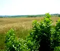 Снимка 3 — Парцел в Плевен, с. Брестовец