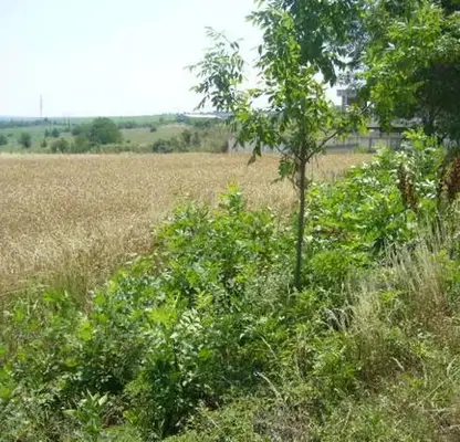 Снимка 2 — Парцел в Плевен, с. Брестовец