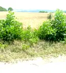 Парцел в Плевен, с. Брестовец