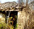Снимка 4 — Парцел в Плевен, с. Българене