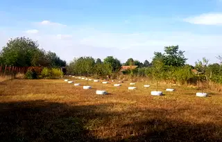 Парцел в Плевен, с. Коиловци