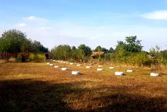 Парцел в Плевен, с. Коиловци