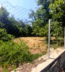 Парцел в Плевен, с. Николаево