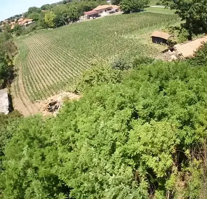 Photo 2 — Plot in Oblast Pleven, Obnova