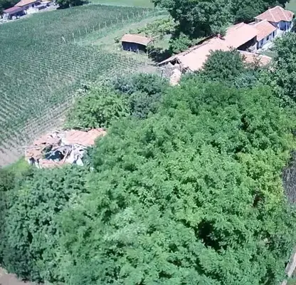 Photo 3 — Plot in Oblast Pleven, Obnova