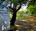 Снимка 4 — Парцел в Плевен, с. Пелишат