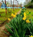Парцел в Плевен, с. Пелишат